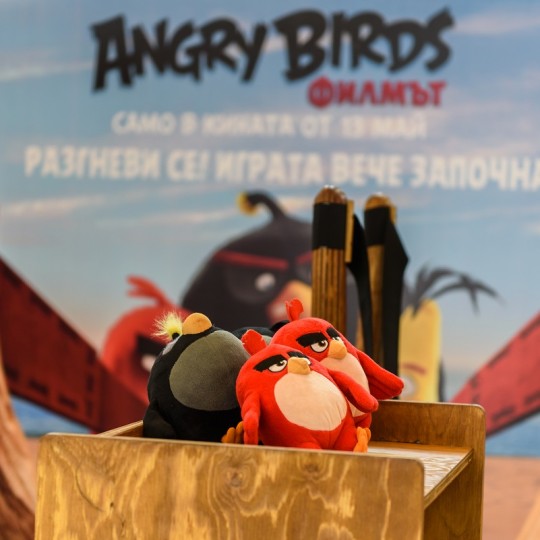https://kidarte.gr/wp-content/uploads/2016/05/Angry_Birds_9-540x540.jpg